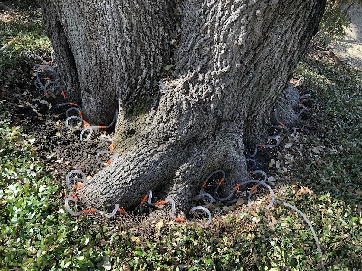 Detailed Shrub and Hedge Trimming job site in Gilboa